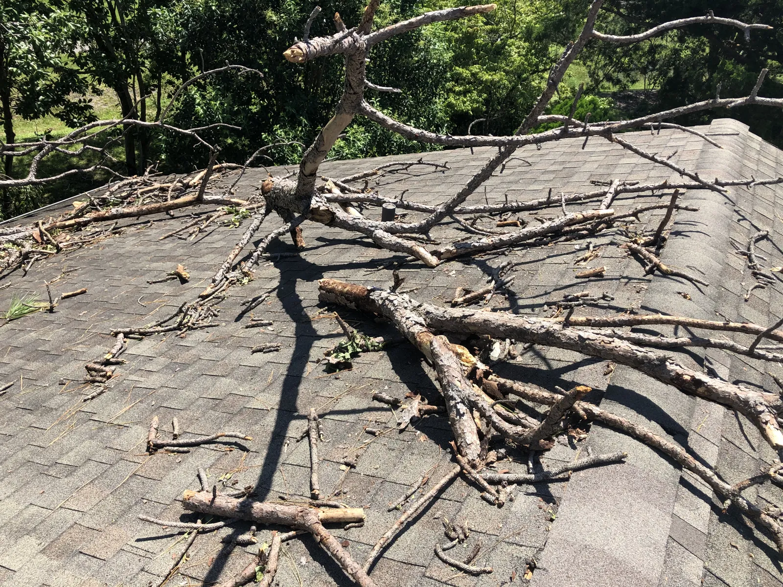 Storm debris and impact damage on a shingle roof