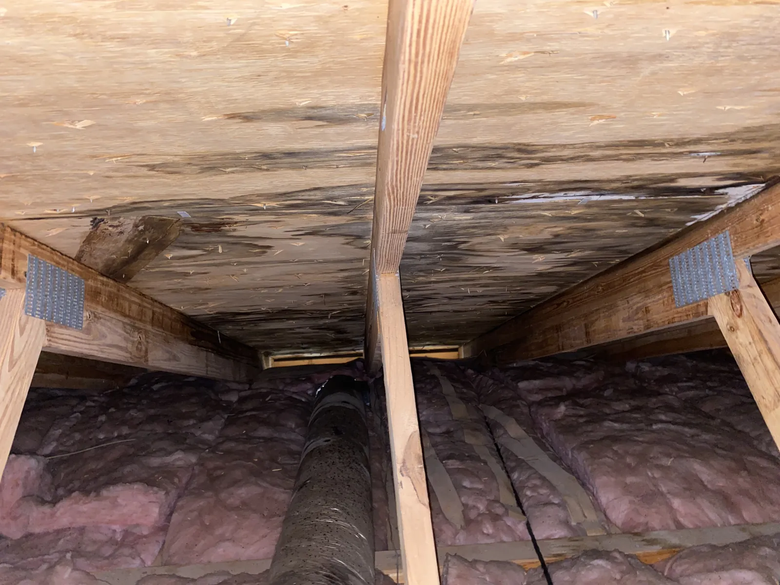 Underside of a roof deck and attic insulation where storm water entered the home