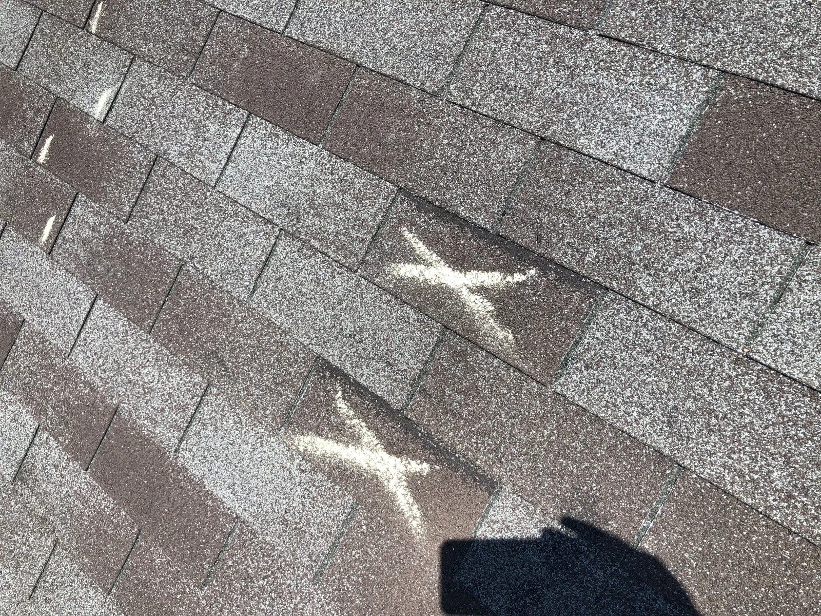 Asphalt shingles marked with chalk where hail strikes were found during a roof inspection