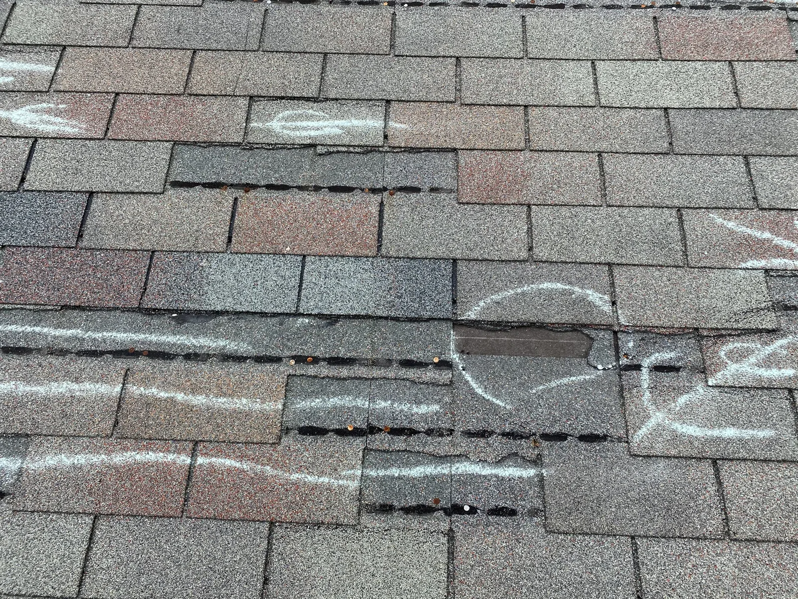 Close-up of granule loss and exposed asphalt mat on a storm-struck shingle found during a roof inspection