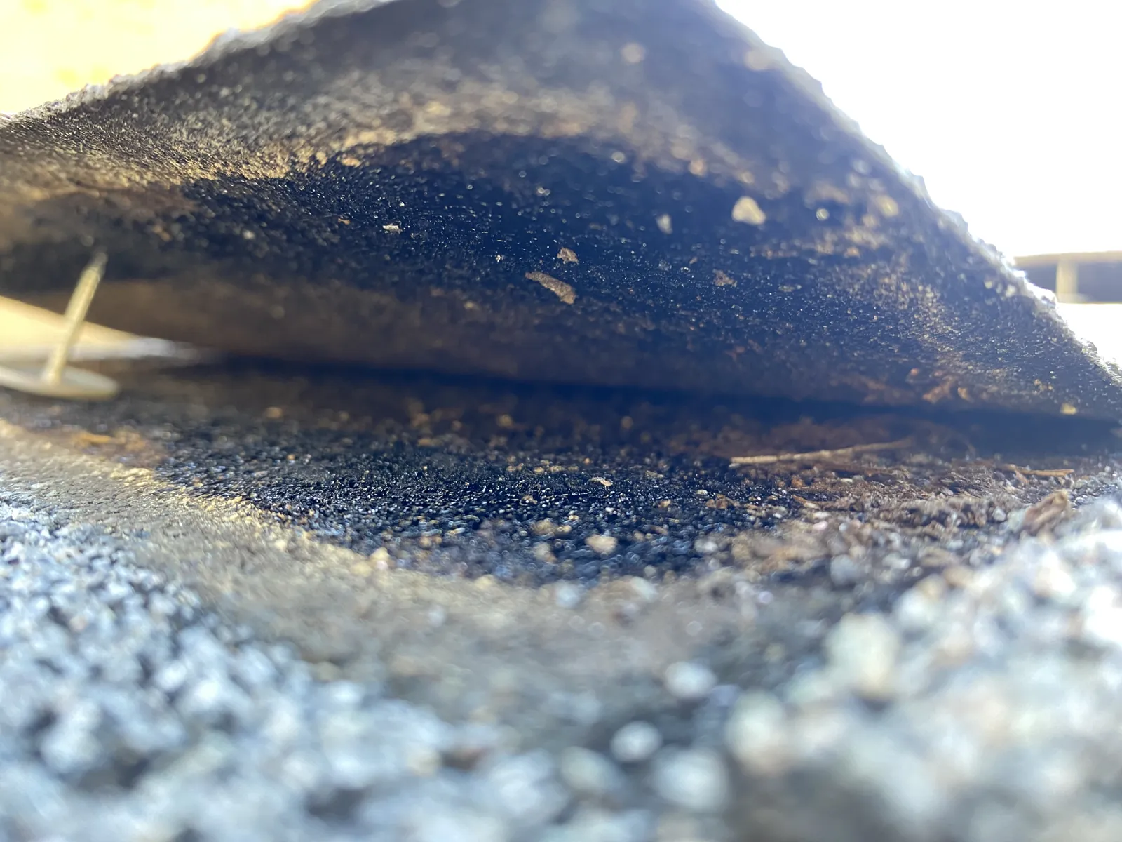 Close-up of hail bruising and granule loss on a shingle